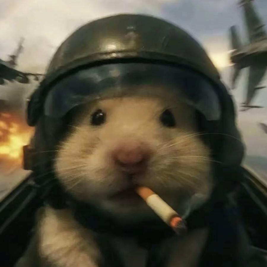 读书？读也是输