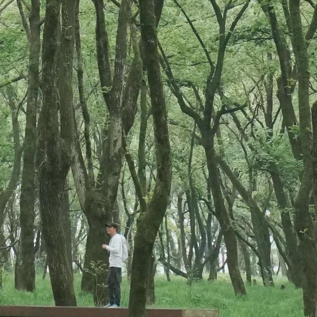 光头强回归大森林🌳