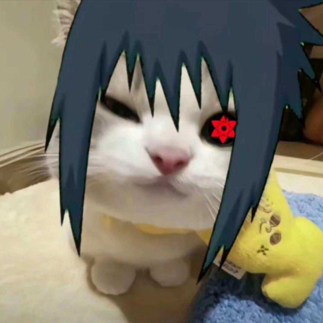 拜见麦当劳大王