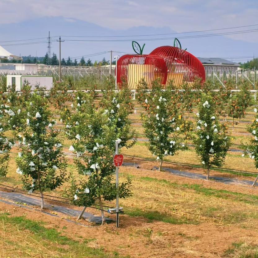 陕西果育研究院创新基地