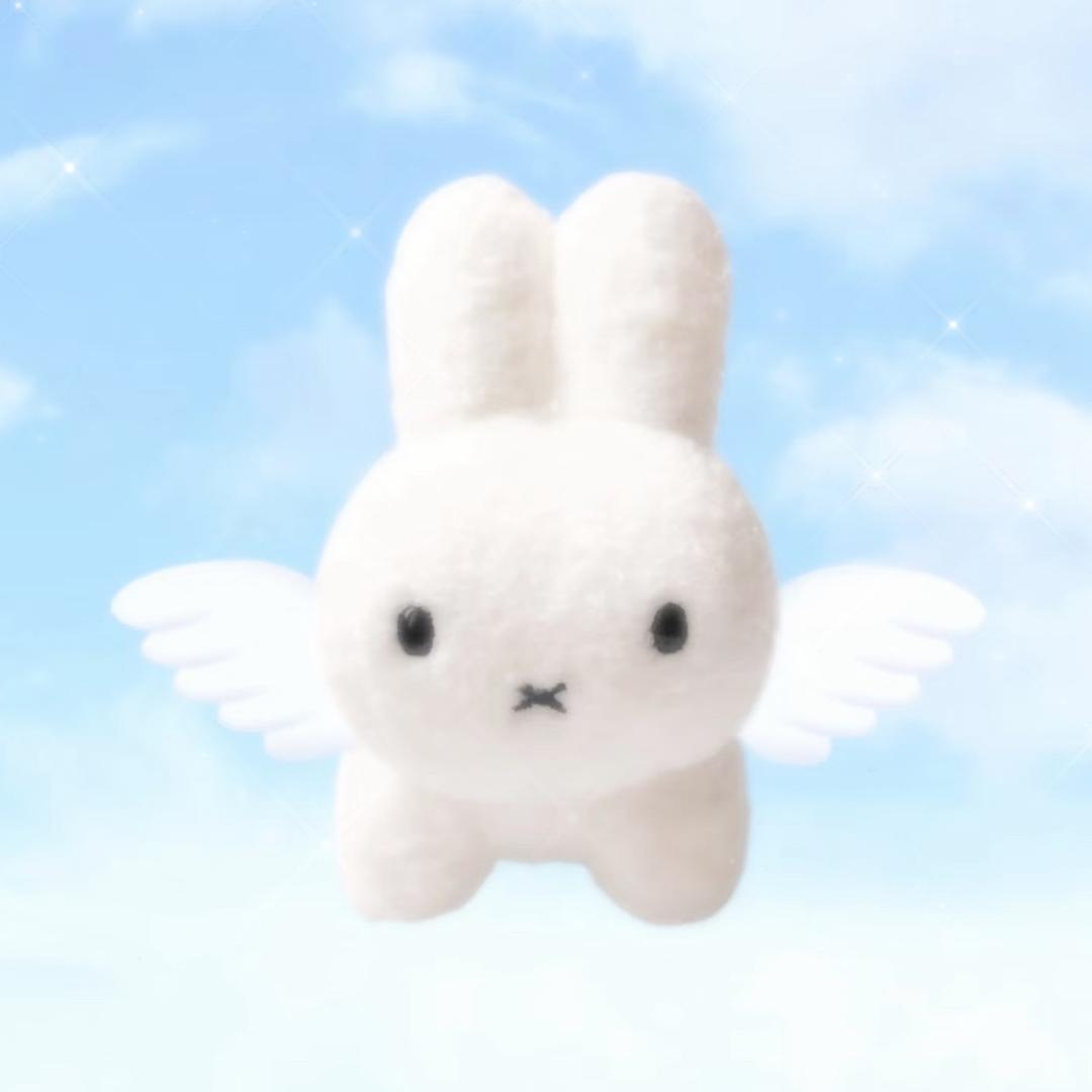 vv4kx_ww