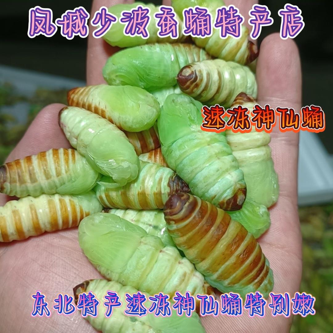 凤城少波蚕蛹特产店
