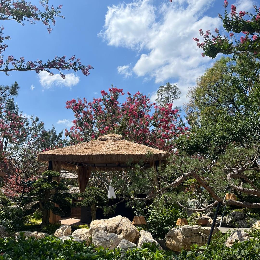 金松苑专业造景