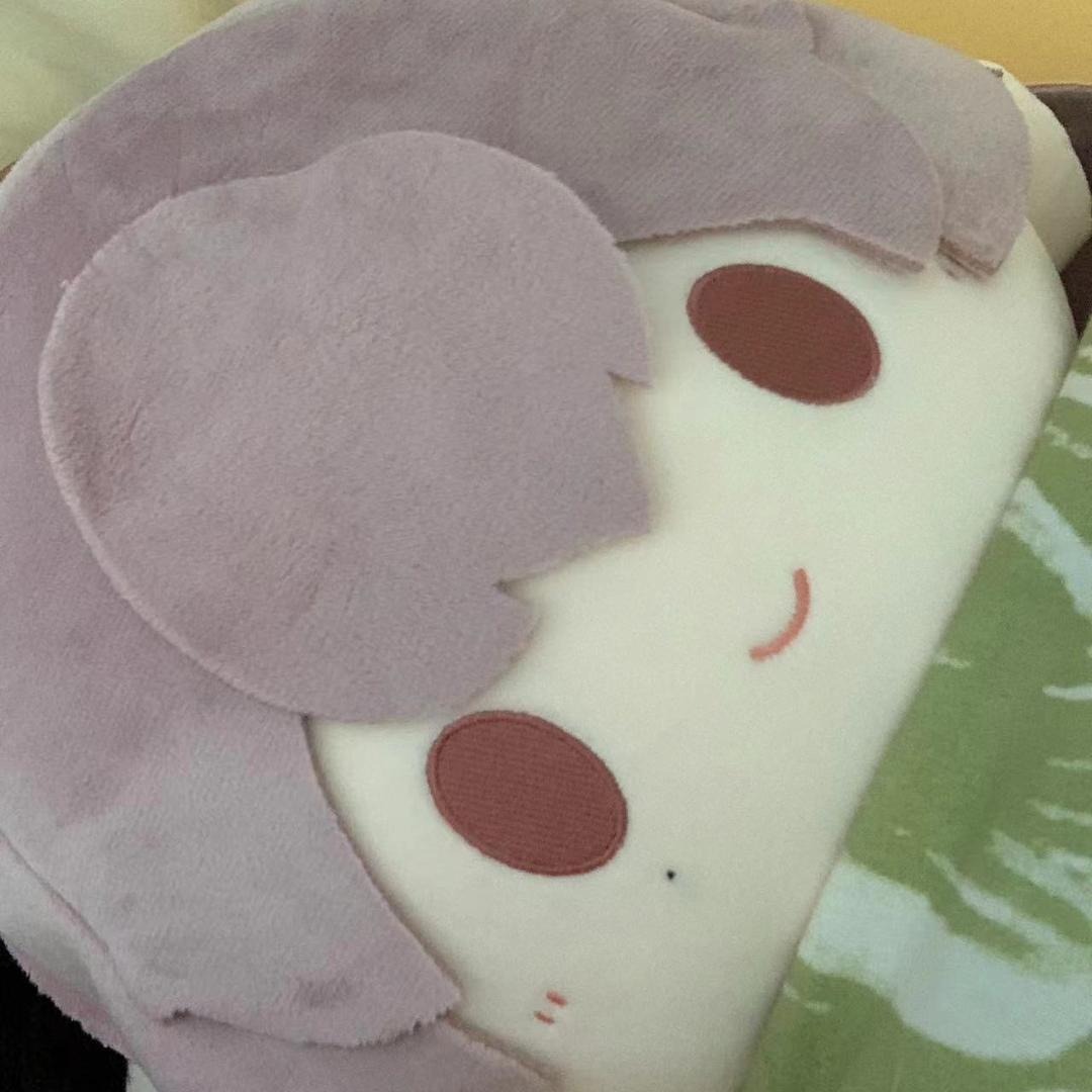 小鱼爱数码