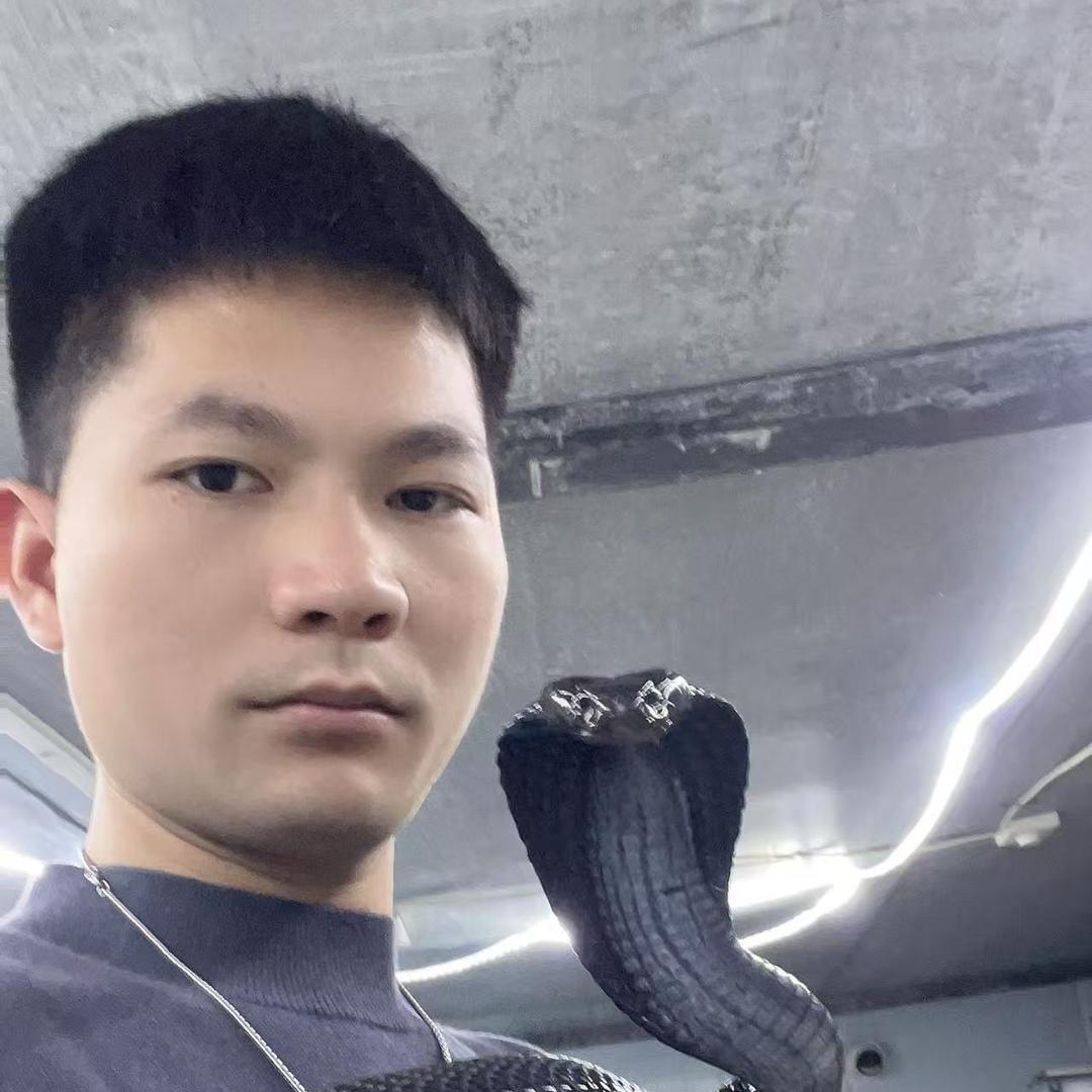 蛇先生一斌哥专供小龍