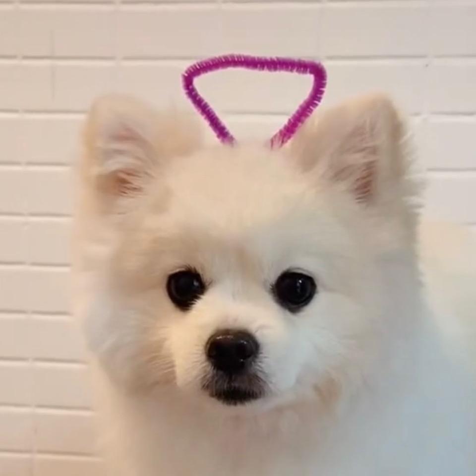 美妞儿做老板