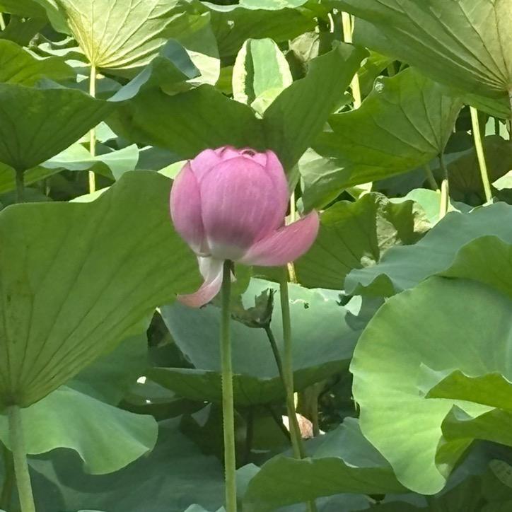 不知姓名