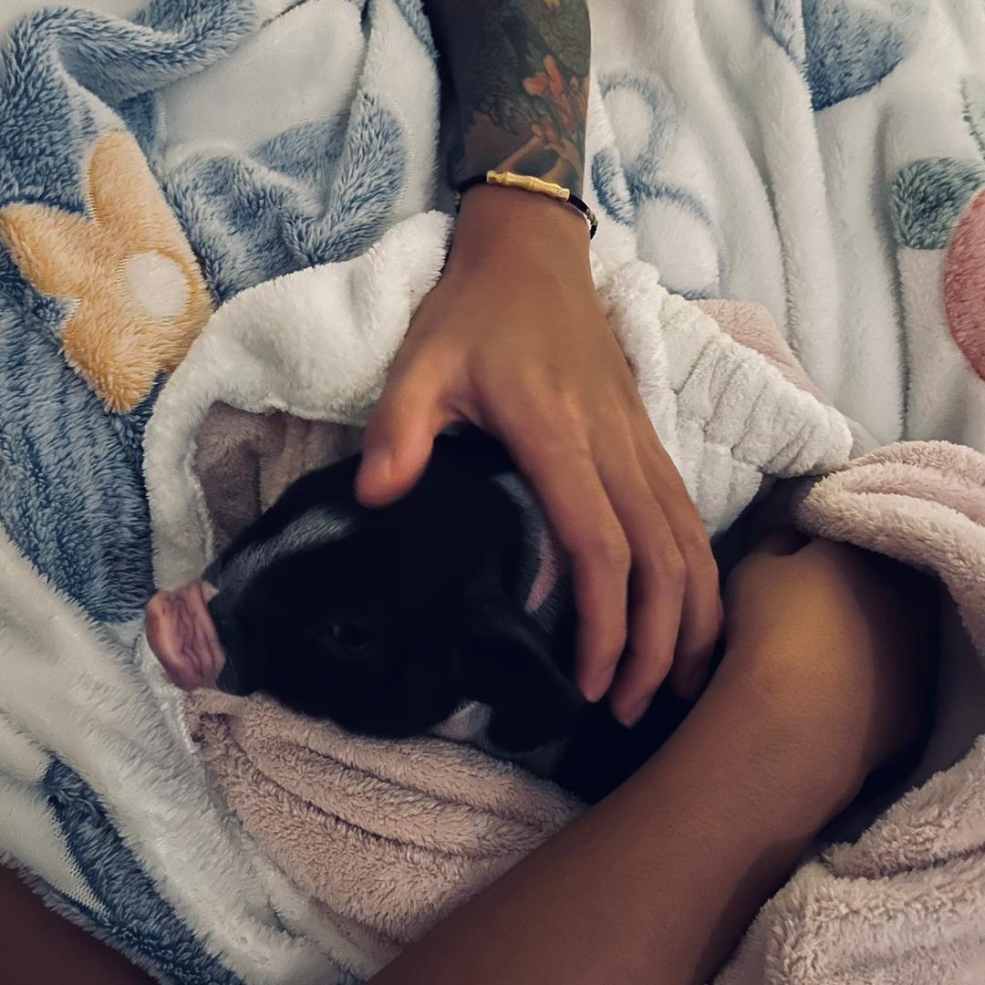 零三（娱乐招聘）！