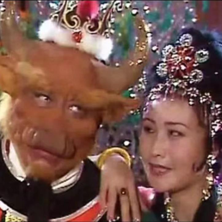 牛牛满山跑