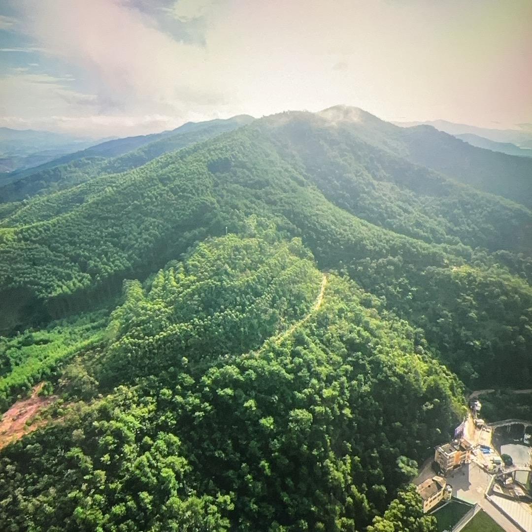 风景园林