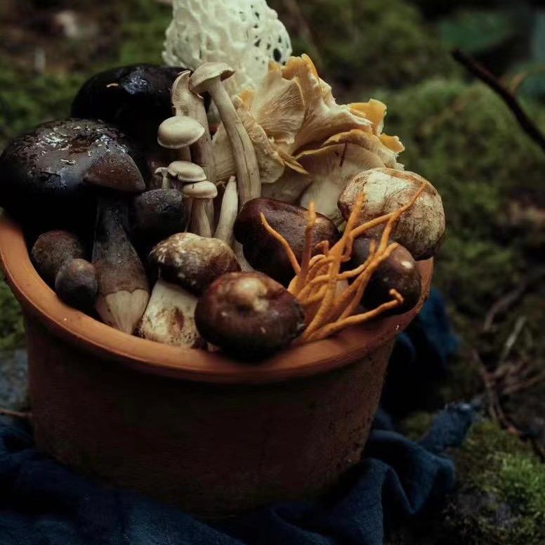 村里有个姑娘呀