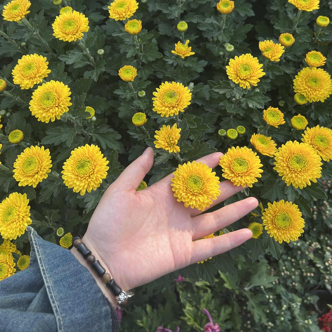 周口奇迹健身的倩倩🍑