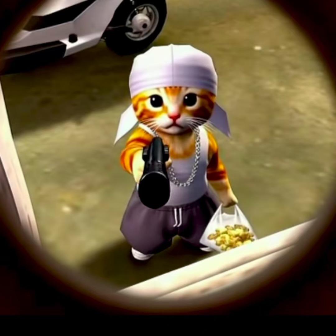 BAD- CAT