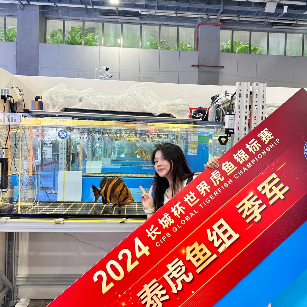 金泓观赏鱼-阿米