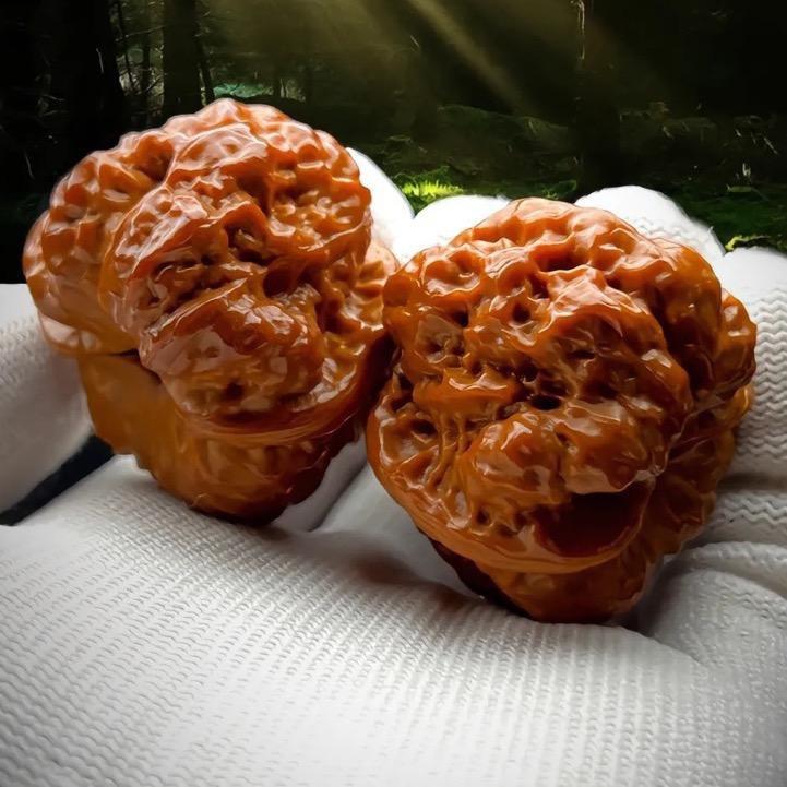 小姐姐的蛤蟆铺