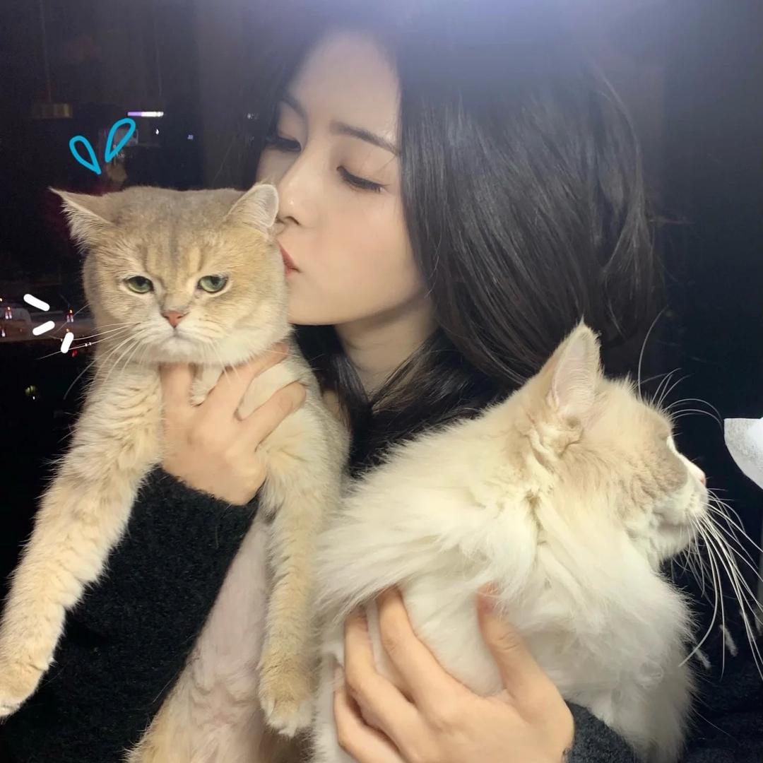 今天好好吃饭了吗