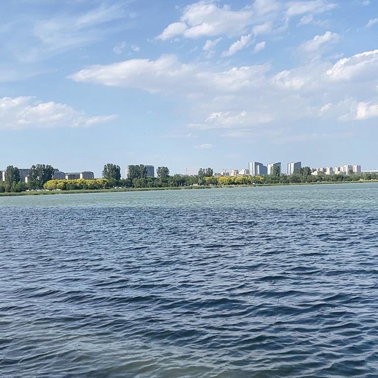 租房小姐姐❤️