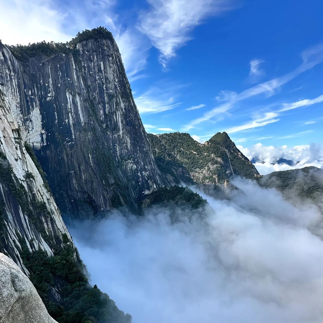 大声喧哗就直播号