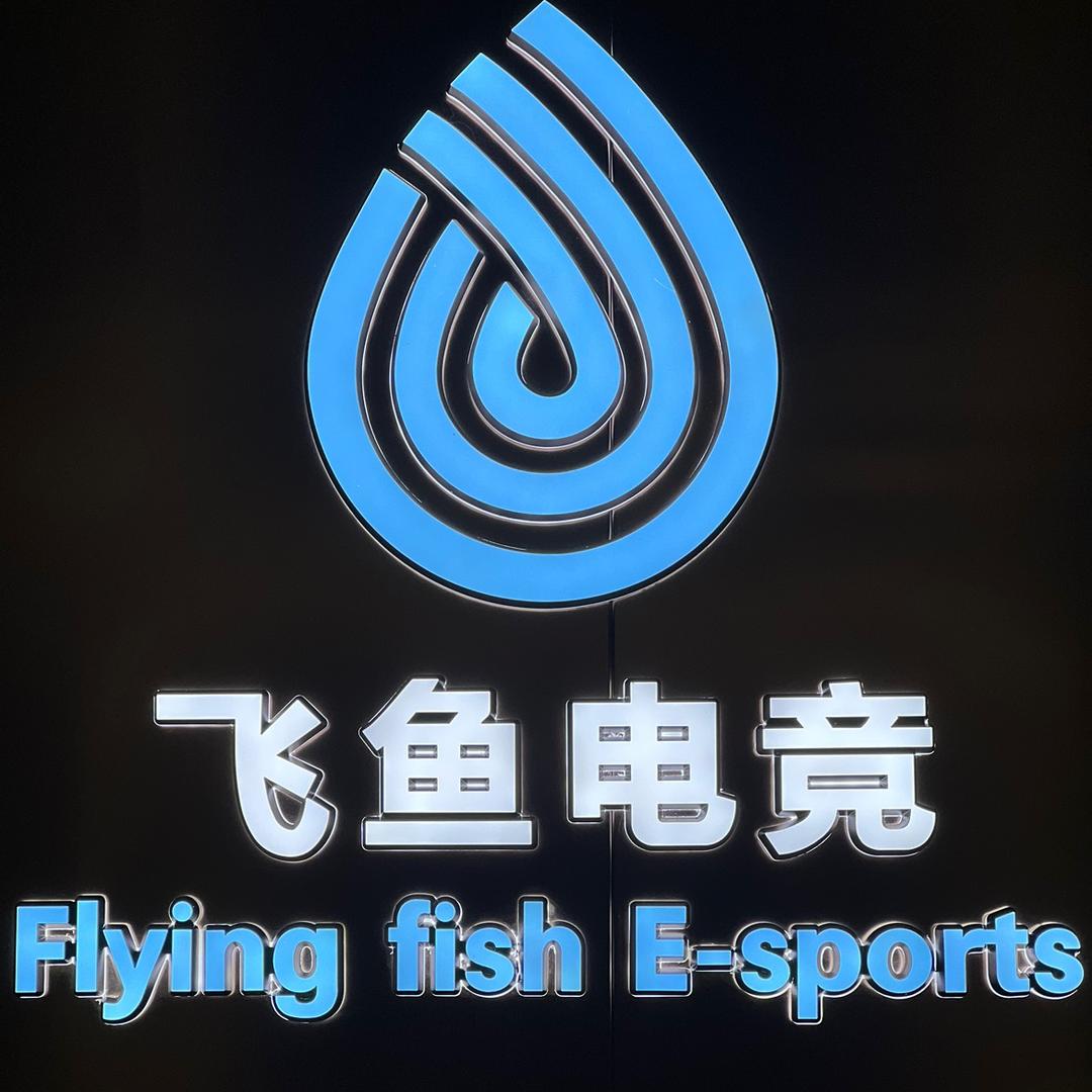 太原市小店区飞鱼电竞