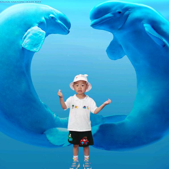 沈一博
