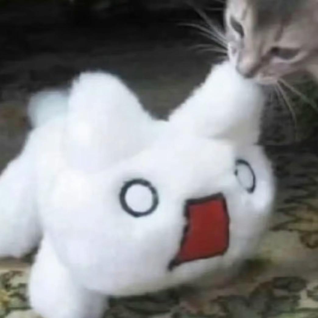 首尔街头老牛仔