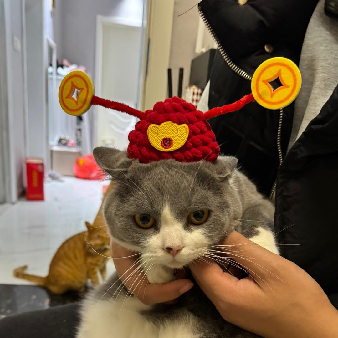 取景器里的世界