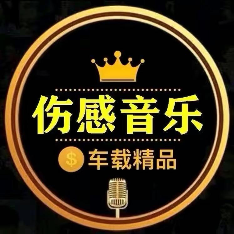 伤感音乐🉑️购U盘