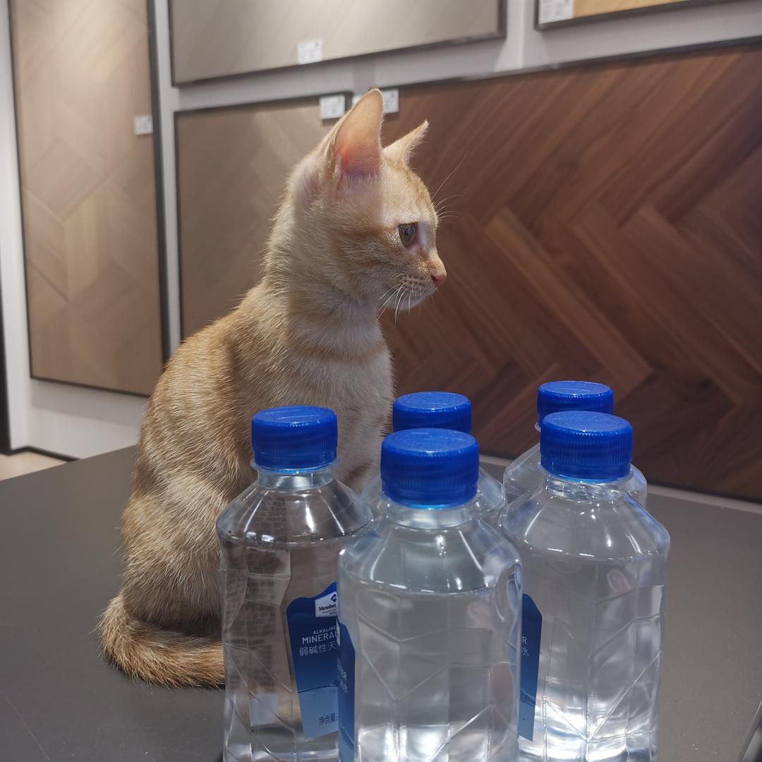黄海云