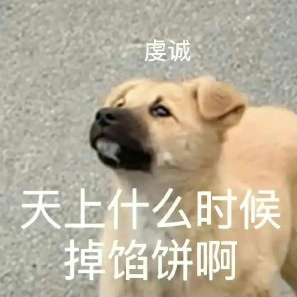 天上什么时候掉馅饼