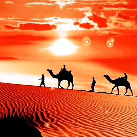 乐游《手机摄影》