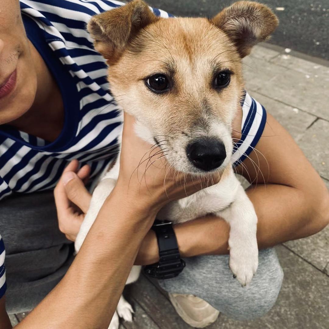 所有颜色中迷彩是最酷的🇨🇳