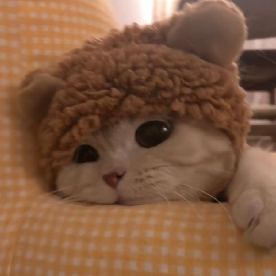 北꧂