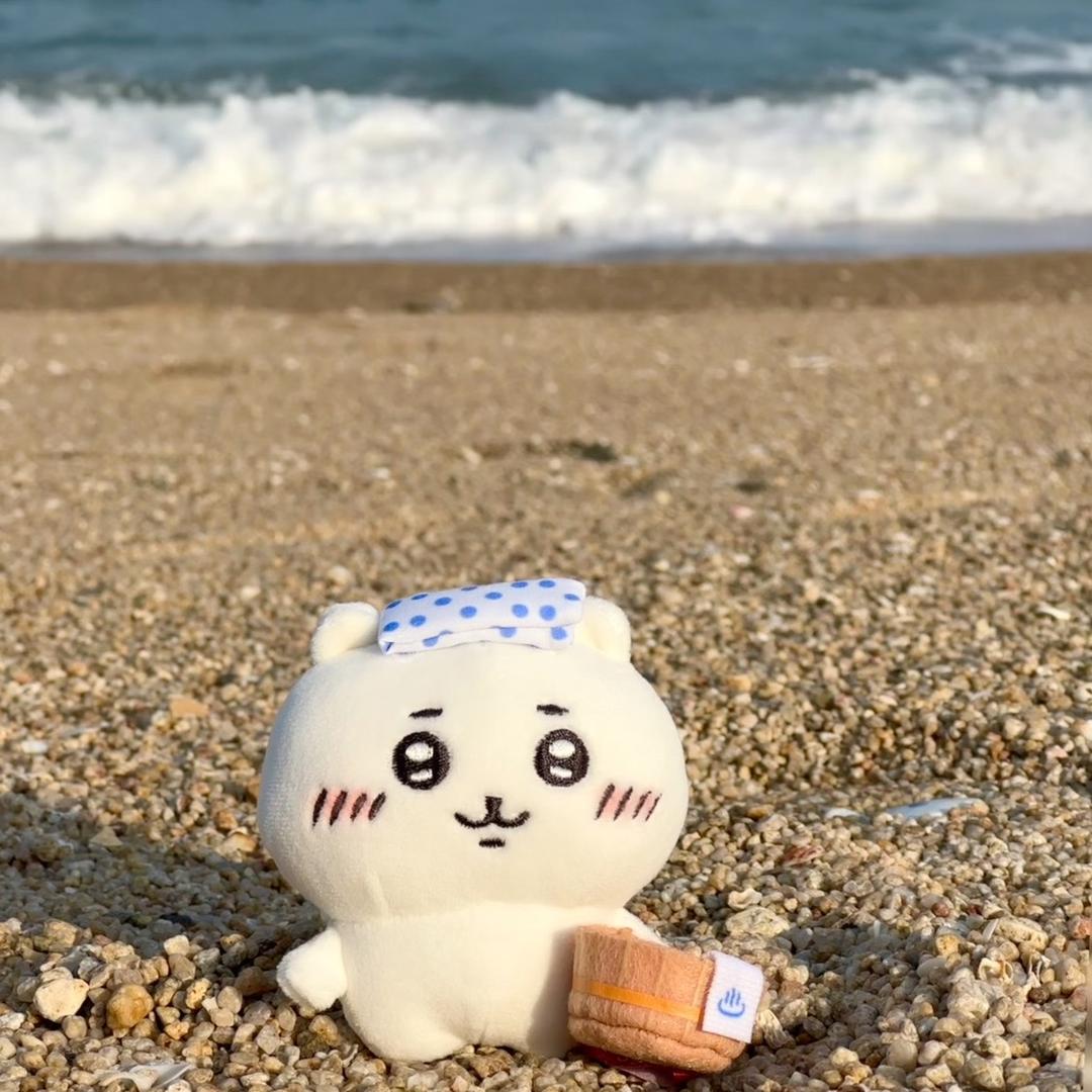 AA人材市场空总