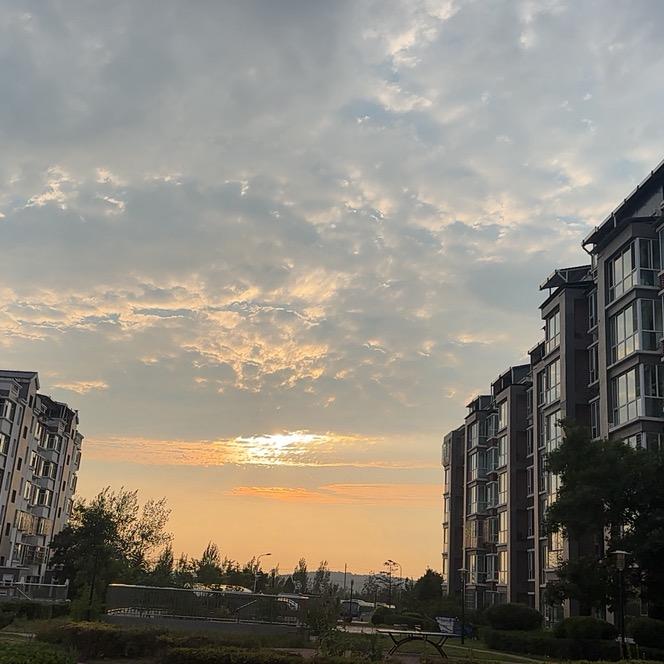 小张爱编织