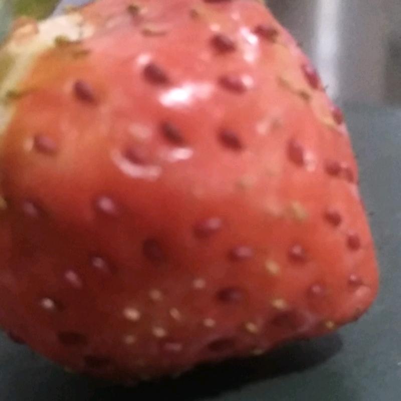懂你悲喜