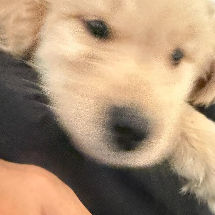 王超综合精品小铺