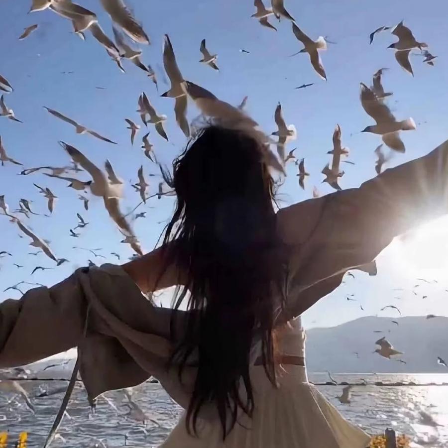 闫家大小姐（橱窗有好物）