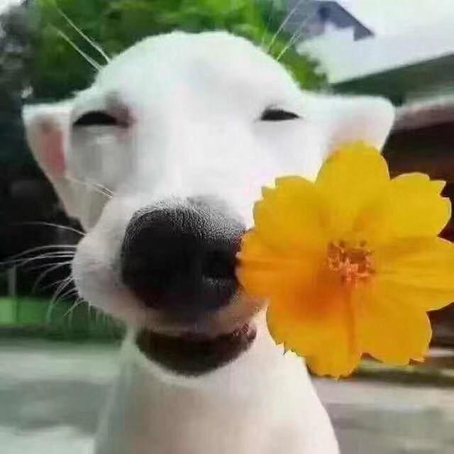 而立之年