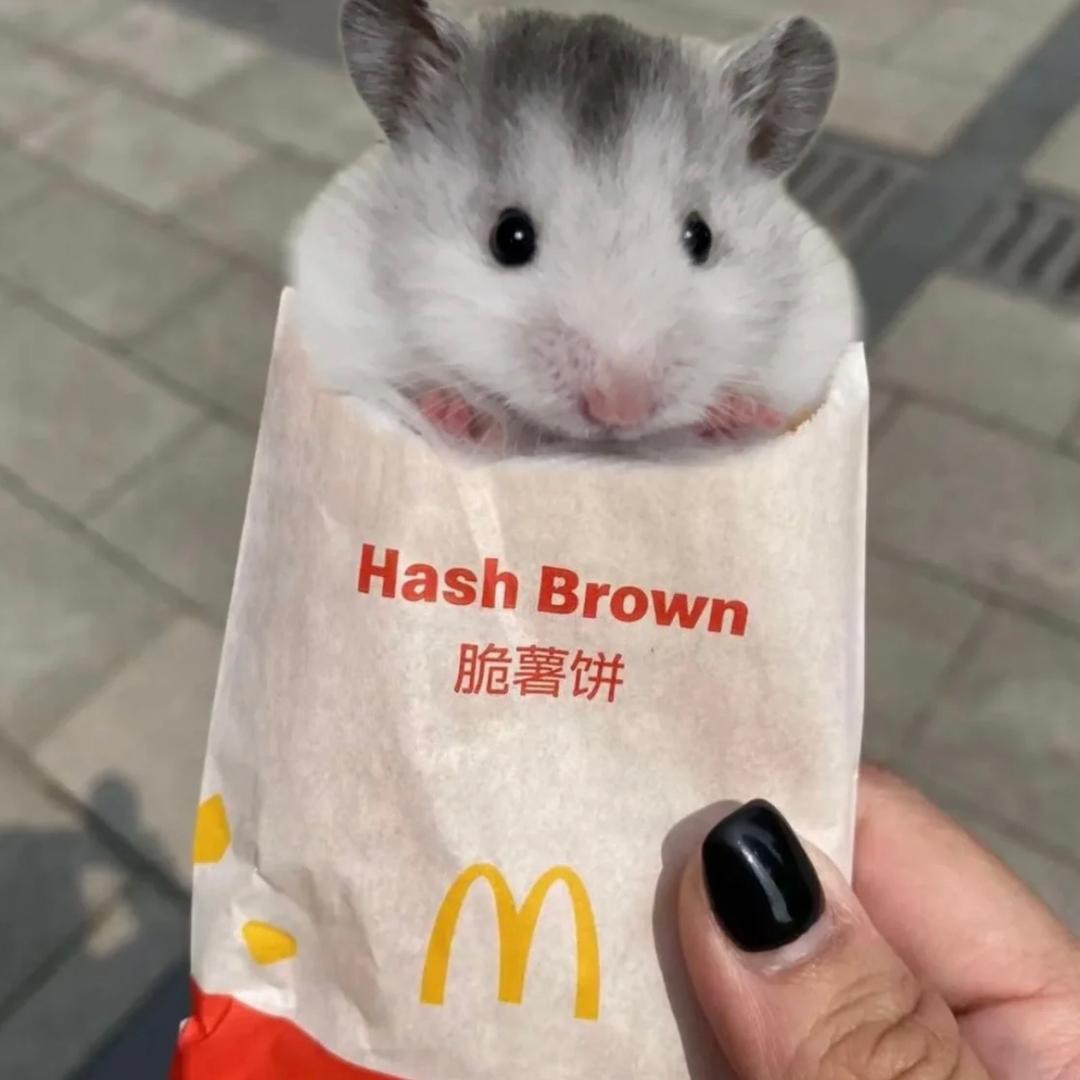 小芽要努力