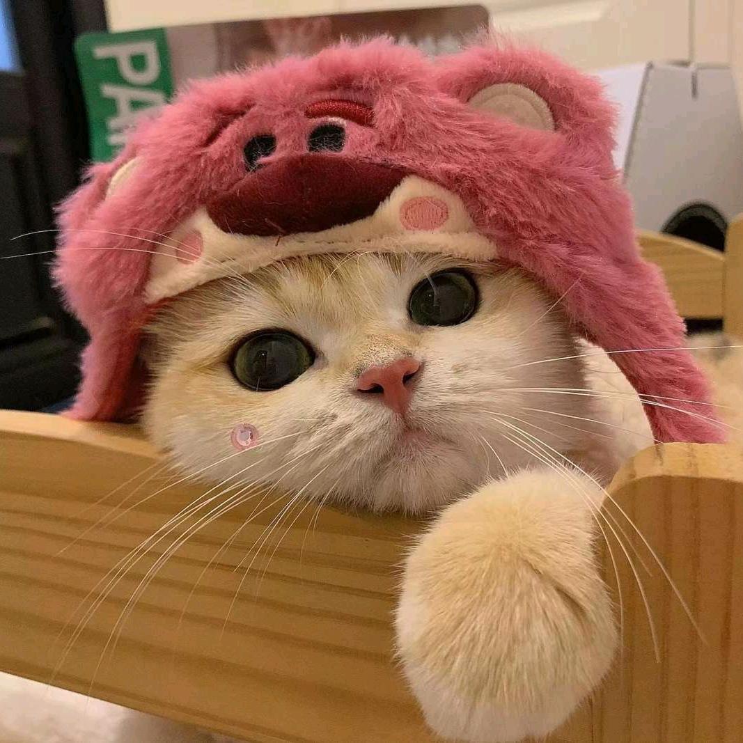 雾奈何