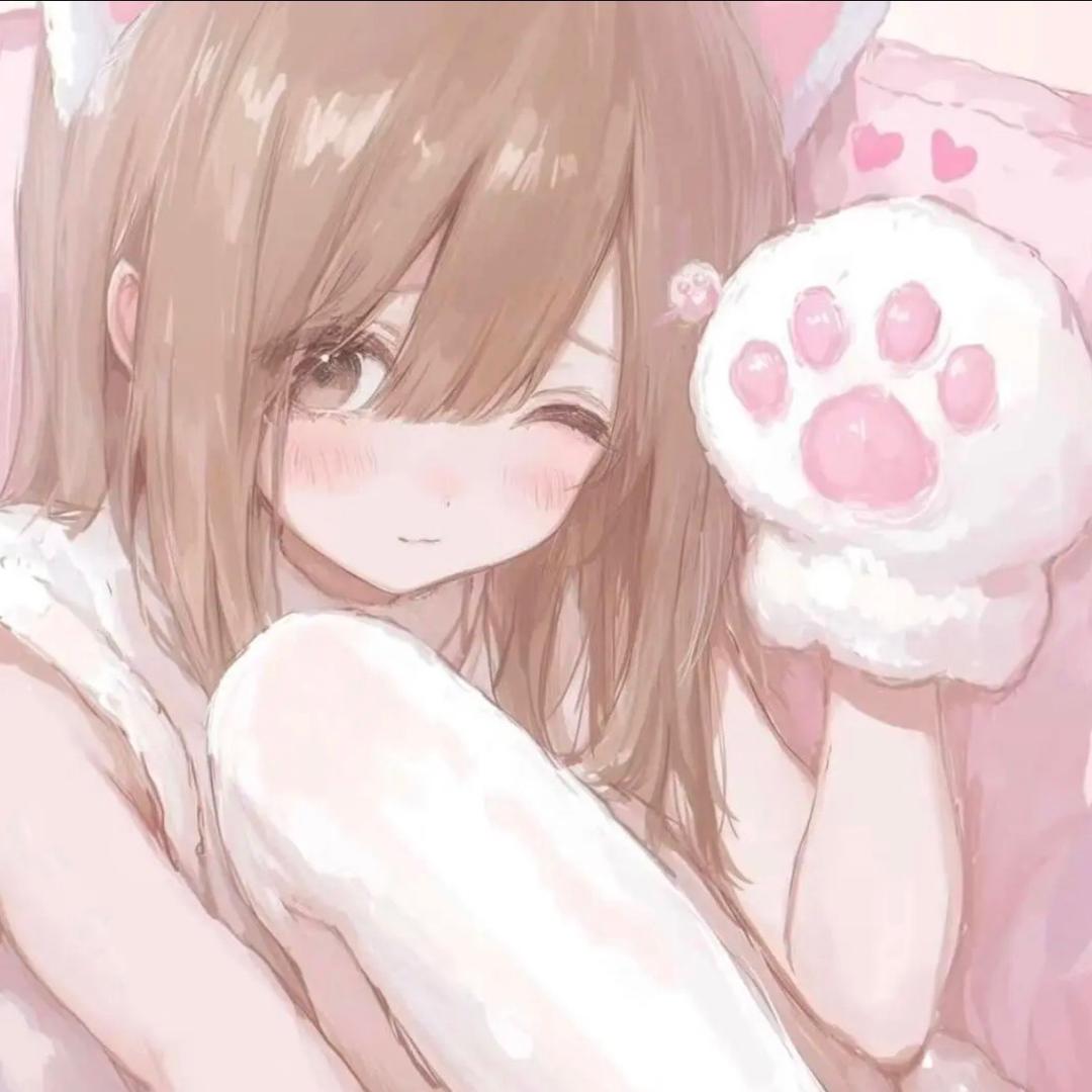 美美猫