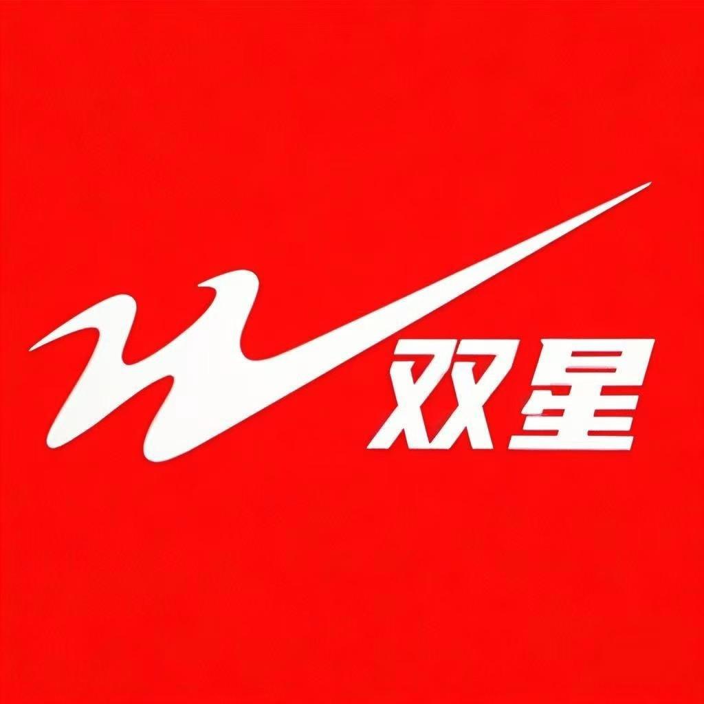 双星致尧男鞋专卖店