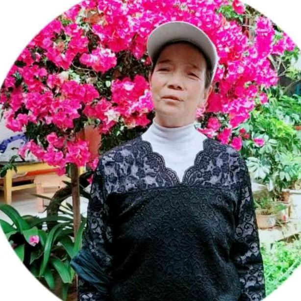 一花一世界43