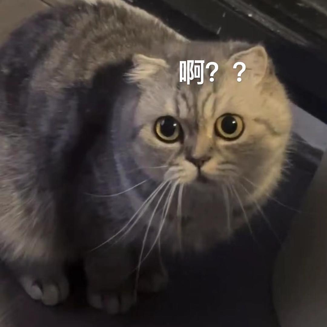 大鼻嘎与小豆芽