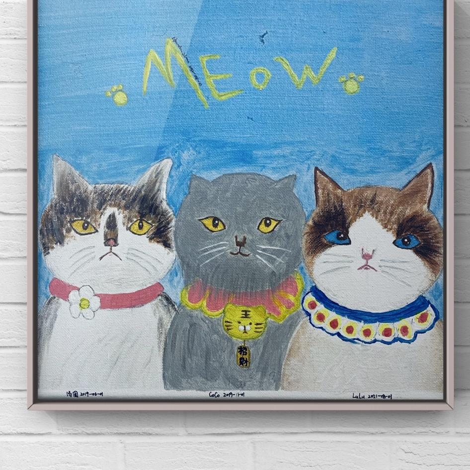 🐱LuLu&CoCo&汤圆