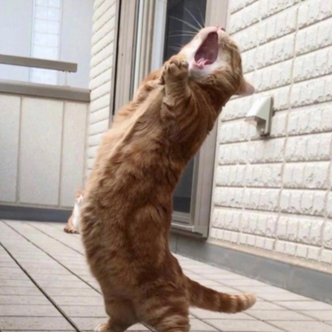 小伙伴