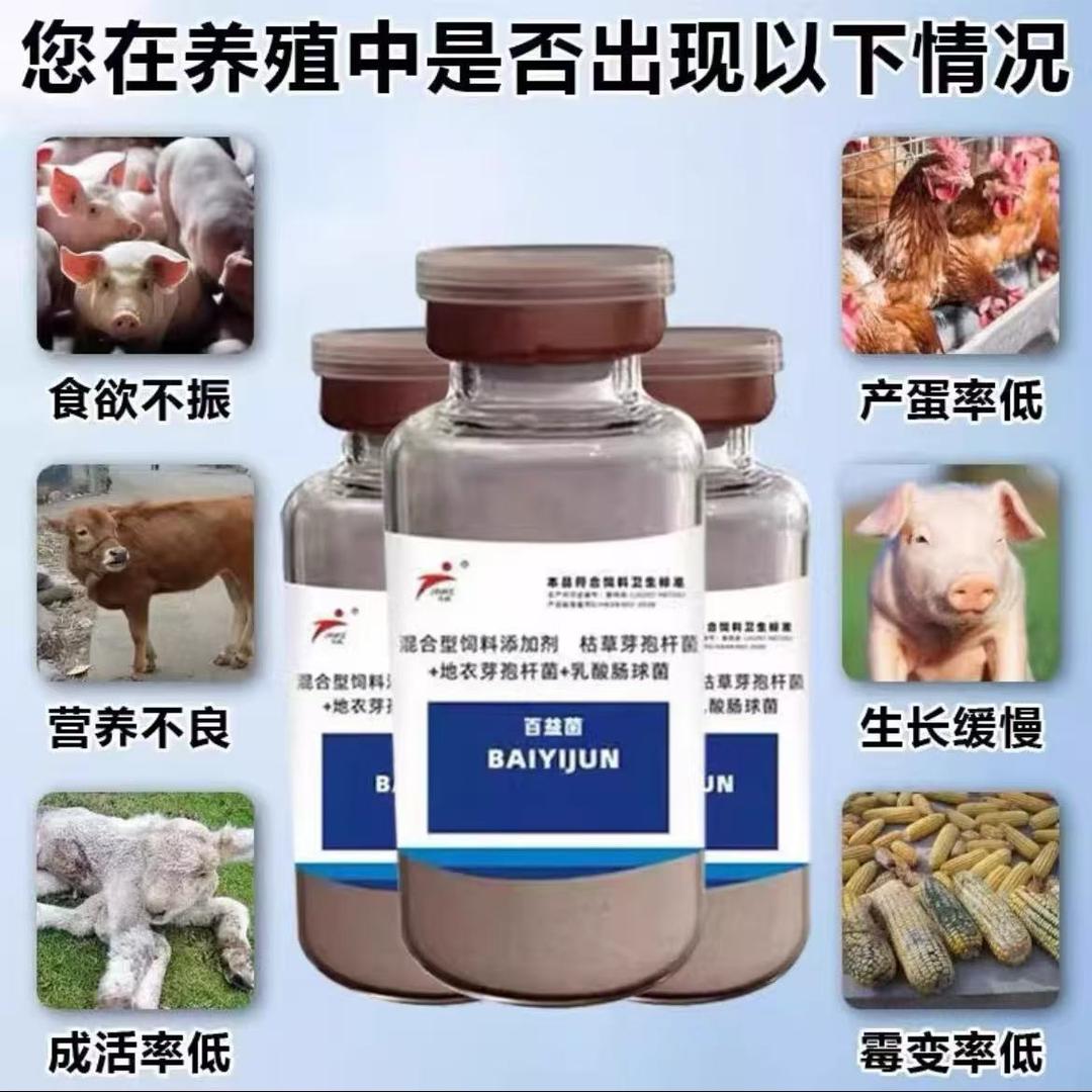 孟祥振发酵饲料菌种店