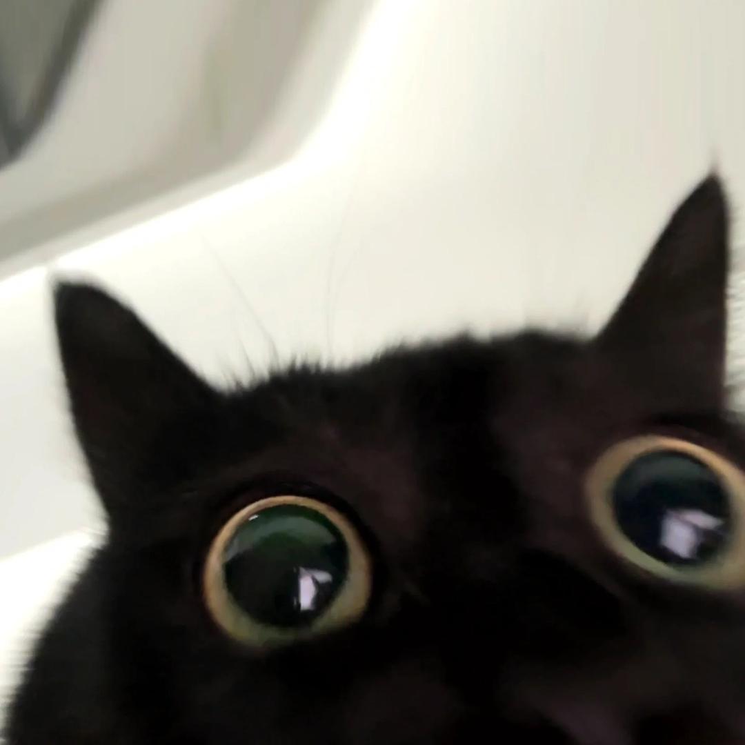 ….
