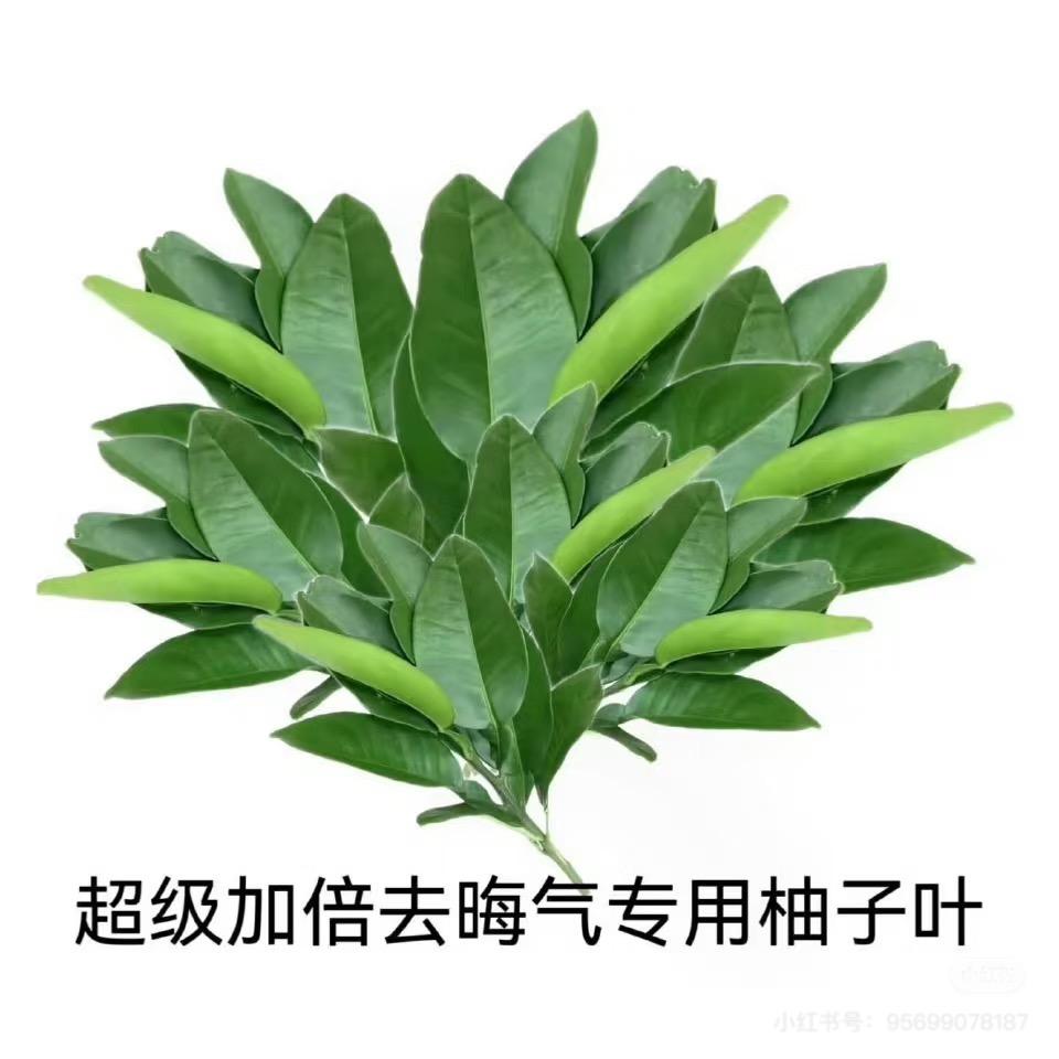 柚子叶