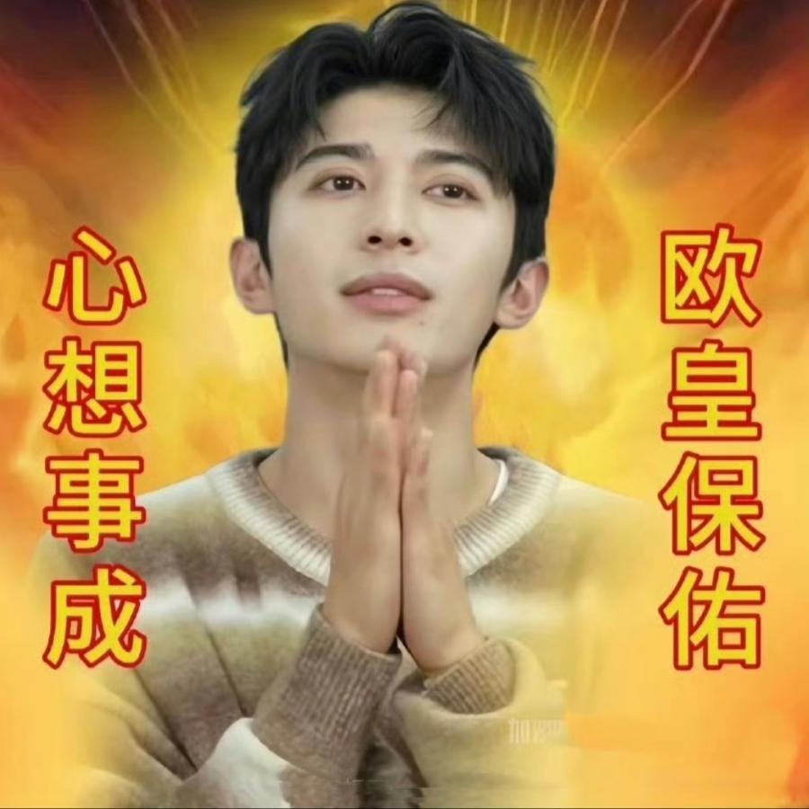 是个猪妹（见过王源北京八喜队版）